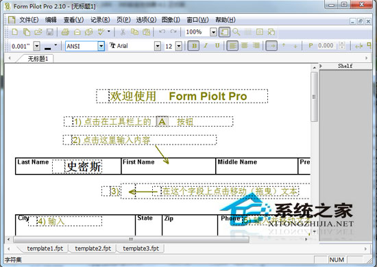 Form Pilot Pro(ֽű) V2.10 ɫ