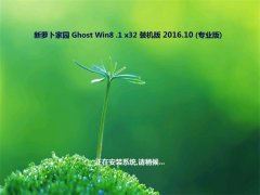 ܲ԰Ghost Win8.1 32λ ɿװv201610()