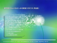 ѻ԰Ghost Win8.1 x64 칫װ2017.01(Զ)