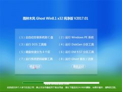 ľGhost Win8.1 (X32) ܴv2017.01()