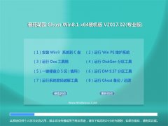 ѻ԰Ghost Win8.1 (64λ) ׼װ201702(Լ)