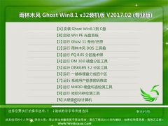 ľGhost Win8.1 (X32) 콢ȶ2017V02(ü)