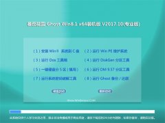 ѻ԰Ghost Win8.1 (X64) װ2017.10(輤)