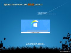 ľGhost Win8.1x86 װv2018.12(輤)