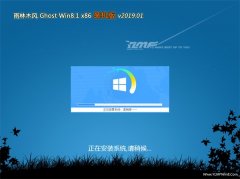 ľGhost Win8.1x86 װV2019.01(Լ)