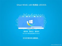 ϾϵͳGhost Win8.1 (X64) ԳǴV201901()