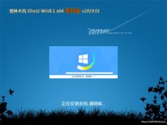  ľGhost Win8.1 x64λ װV2019.01()