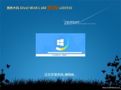 ľGhost Win8.1 x64λ װV2019.01()