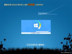 ľGhost Win8.1x86 ѡ2019V03(⼤)