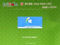 ܲ԰Ghost Win8.1 64λ 䴿v2019.04(輤)