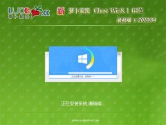 ܲ԰Ghost Win8.1 (64λ) ͥװv201904(輤)