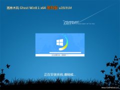 ľGhost Win8.1 X64λ װ201904(輤)