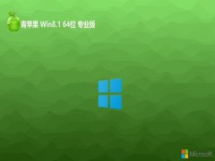 ƻϵͳwin8.1°칫64λv2025.05
