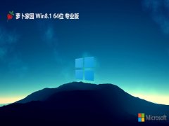 ܲ԰v2024.04win8.1 64λ