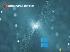 ѻ԰⼤win8.1 64λv2024.04