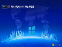 ľwin8.1 64λѼ׼v2025.05