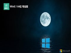 ʿ⼤win8.1 64λv2025.05