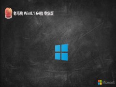 ë⼤win8.1 64λ޿Сװv2025.05
