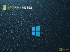  ײwin8.1Ƽ64λv2025.05⼤