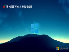  ܲ԰win8.1 64λʼǱ°v2025.05⼤