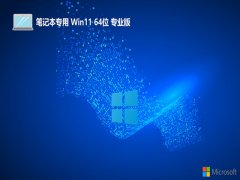 ʼǱwin11ഺ׼64λv2025.05