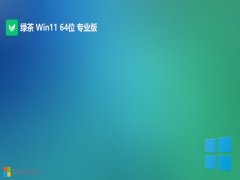 <font color='#333333'>̲ϵͳwin11⼤64λɿv2025.05</font>
