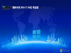  ľ64λwin11v2025.05