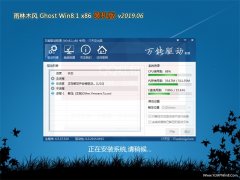 ľGhost Win8.1x86 װ2019V06(輤)